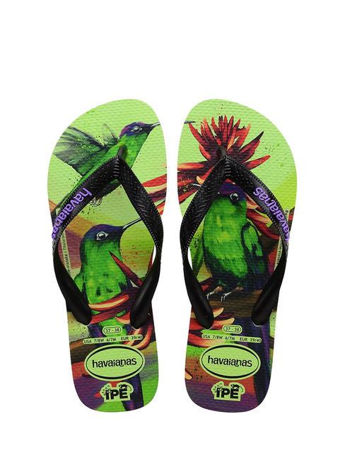HAVAIANAS Infradito IPE Zitronengras - Schuhe Unisex