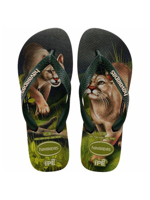 HAVAIANAS Infradito IPE olivgrün - Schuhe Unisex