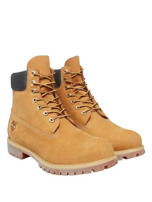 TIMBERLAND 6 INCH  Stiefeletten aus Leder gelb - Schuhe Unisex