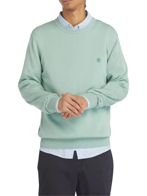 TIMBERLAND WILLIAMS RIVER Pullover mit Rundhalsausschnitt granitgrün - Sweatshirts Herren