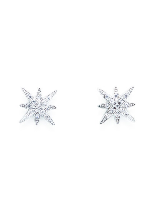 AMEN DIAMONDS Silberohrringe mit Zirkonia Rhodium - Ohrringe