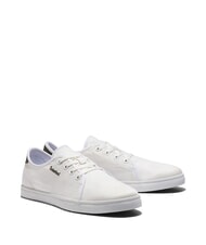 TIMBERLAND SHAPE PARK LOW  Turnschuhe blanc de blanc - Herrenschuhe - 1