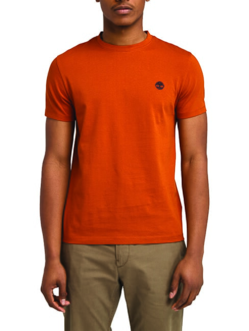 TIMBERLAND SS DUNRIVER CREW Baumwoll t-shirt Umber - Herren-T-Shirts