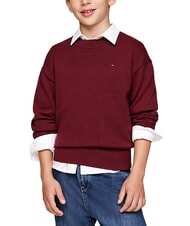 TOMMY HILFIGER TH KIDS Rundhalspullover aus Baumwolle - Kinderpullover
