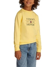 TOMMY HILFIGER TH KIDS Sweatshirt mit Rundhalsausschnitt und Aufdruck - Sweatshirts Kinder
