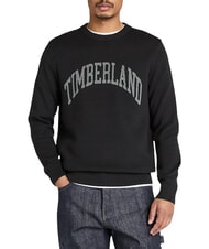TIMBERLAND GRAPHIC Rundhalspullover - Herrenpullover