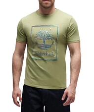TIMBERLAND WATER Kurzarm-T-Shirt aus reiner Baumwolle hellgr&uuml;n - Herren-T-Shirts - 1