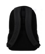 DELSEY ELEMENT AVIATOR Rucksack mit zwei F&auml;chern, 15,6 "PC-Halterung Schwarz - PC-Rucks&auml;cke - 4