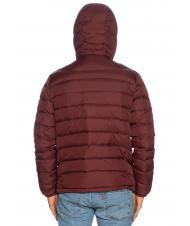 CIESSE STEVENSON Gesteppte Daunenjacke mit Kapuze - Daunenjacken f&uuml;r Herren