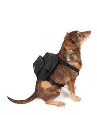 EASTPAK DOG PAK'R Mini-Rucksack f&uuml;r Hunde - Artikel f&uuml;r Tiere