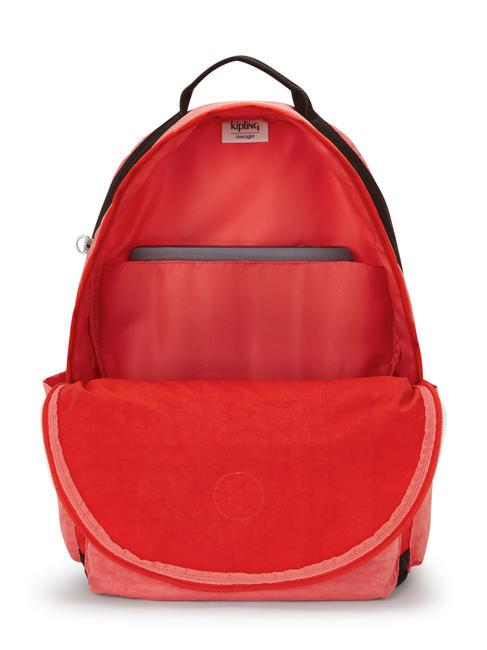 DAMIEN L Rucksack mit 15,6-Zoll-Laptophalter Tango-Rosa-Block - Rucks&auml;cke f&uuml;r Schule &amp; Freizeit