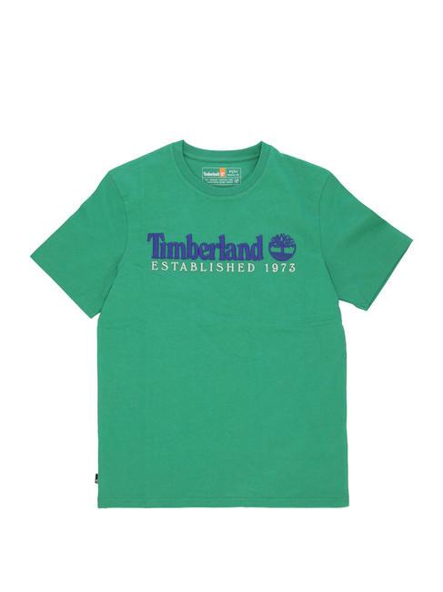 ESTABILISHED 1973 Baumwoll t-shirt keltisches Gr&uuml;n wb - Herren-T-Shirts