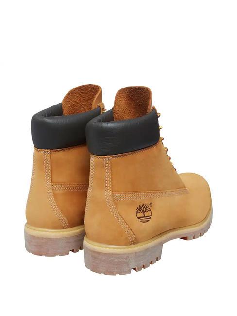 6 INCH  Stiefeletten aus Leder gelb - Schuhe Unisex