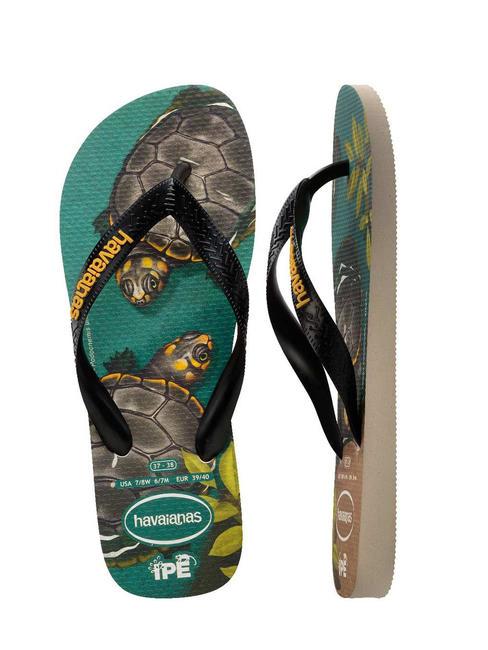 Infradito IPE beige/schwarz/gelb - Schuhe Unisex