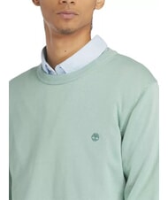 TIMBERLAND WILLIAMS RIVER Pullover mit Rundhalsausschnitt granitgr&uuml;n - Herrenpullover - 3