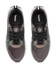 TIMBERLAND WINSOR TRAIL Sneaker aus gemischtem Leder taupefarbenes Netz - Herrenschuhe - 4