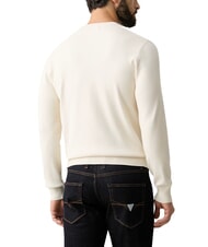 GUESS MASON PRINTED Rundhalspullover - Herrenpullover