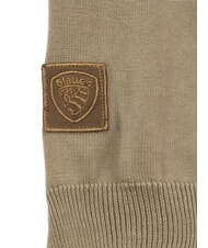 BLAUER HERALD Baumwollpullover gr&uuml;n 60h - Herrenpullover - 2