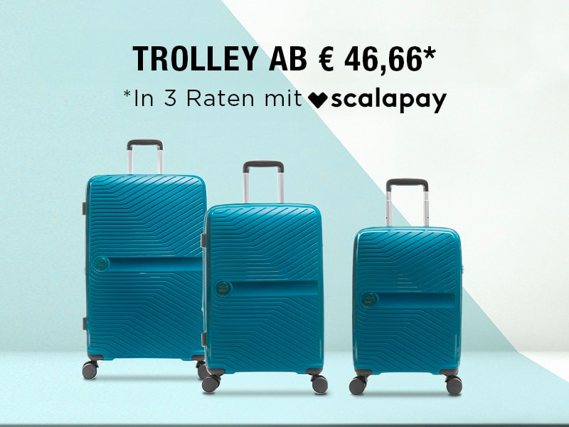 BANNER-SET TROLLEY LE SAC